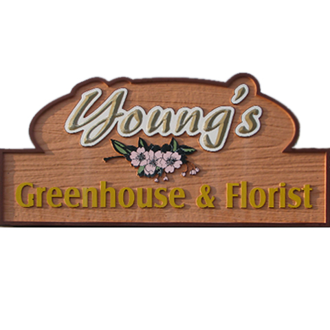 Young S Greenhouse Flower Shop Fort Wayne In